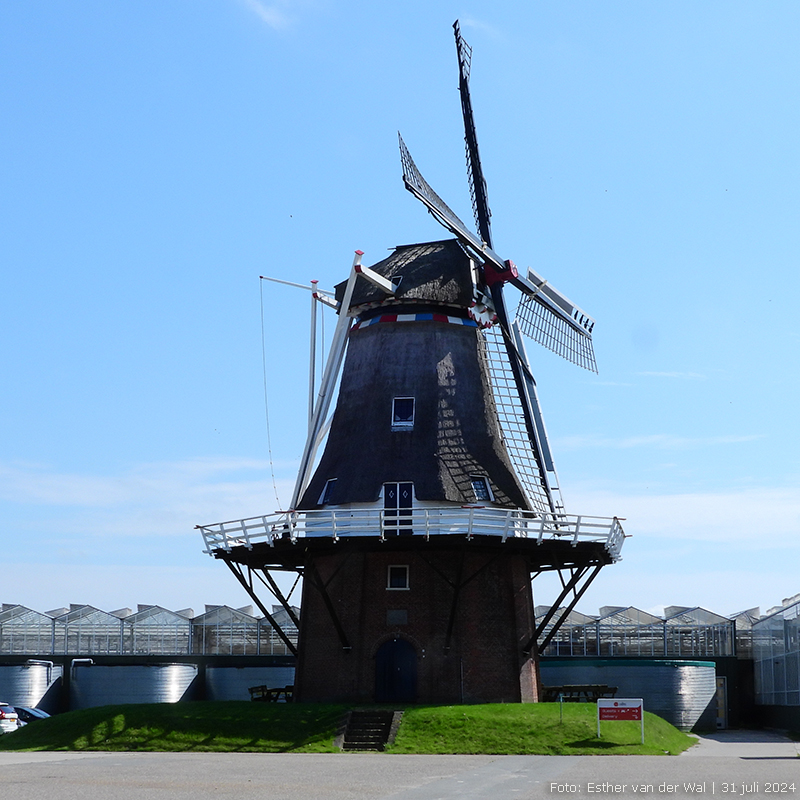 Lauwersmeer nog iets te hoog gegrepen