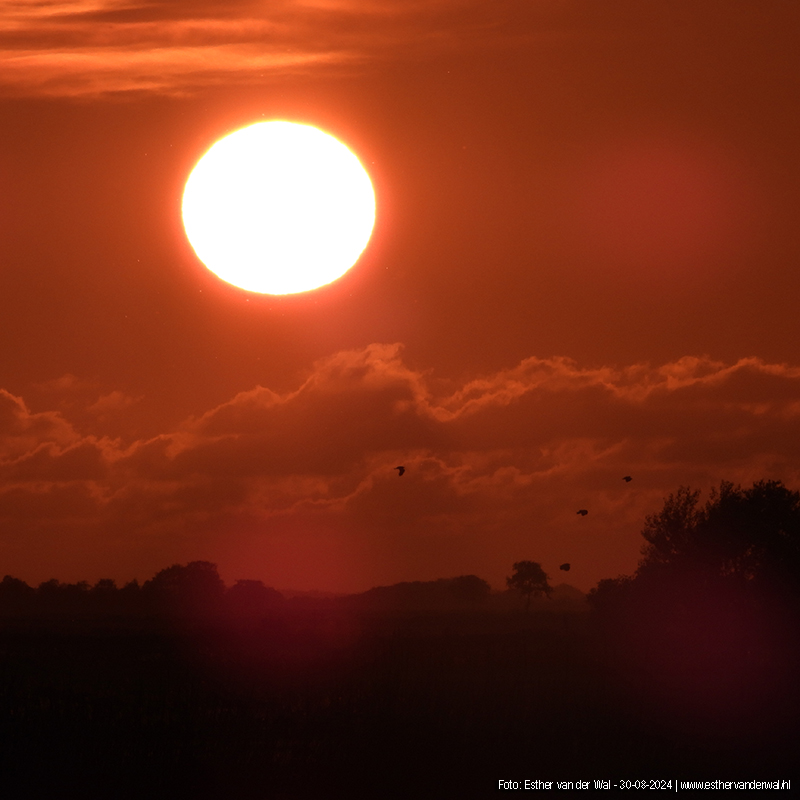 Zonsondergang De Houtwiel